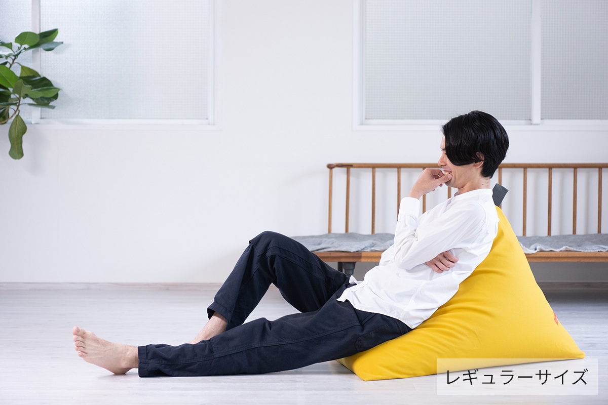 tetra 8号帆布 ビーズクッション テトラ 【レギュラーサイズ