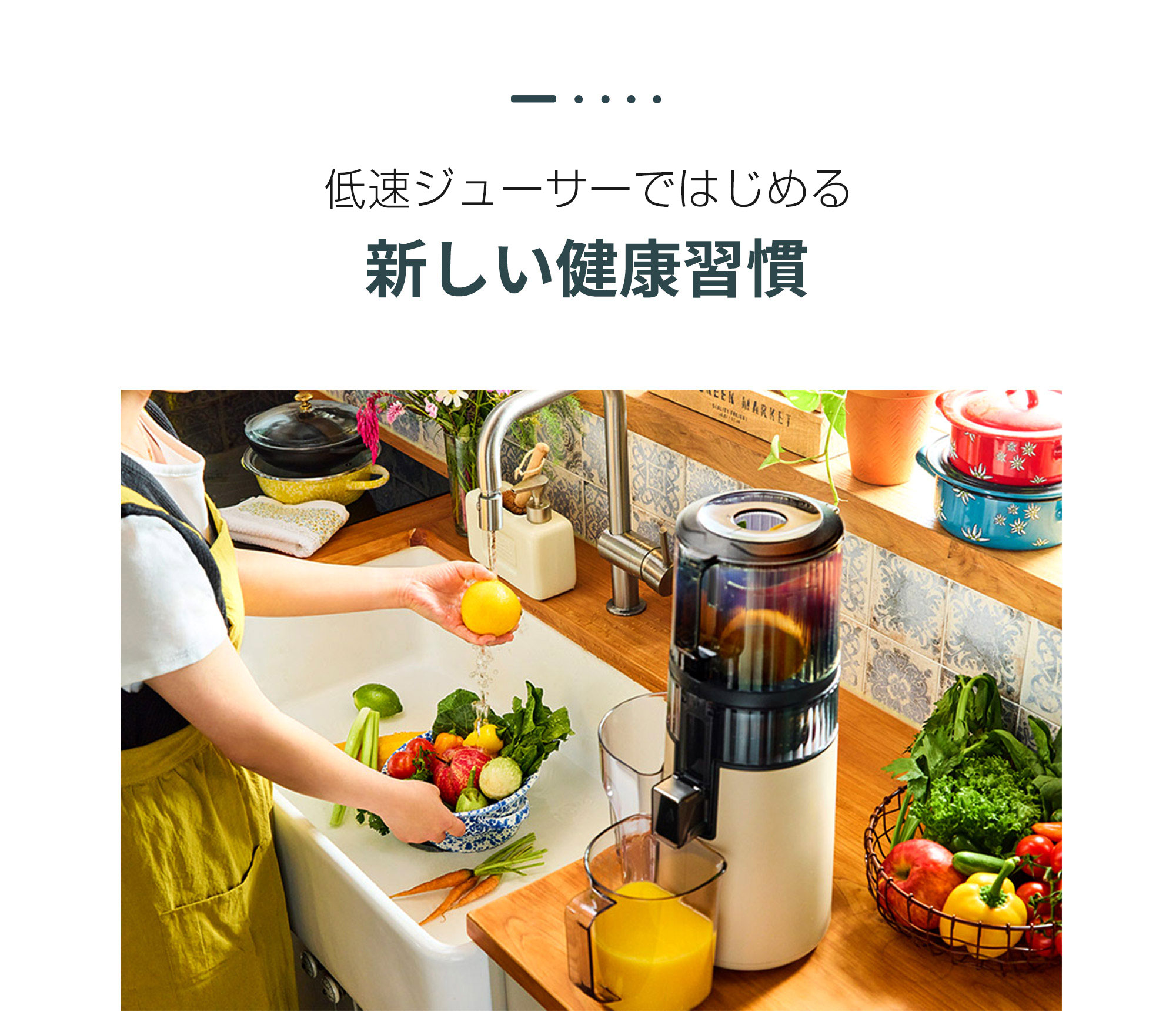 ヒューロムスロージューサー H70FT