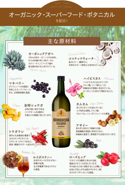 欧米セレブ発の健康ドリンク「コンブチャ」が日本オリジナルレシピに