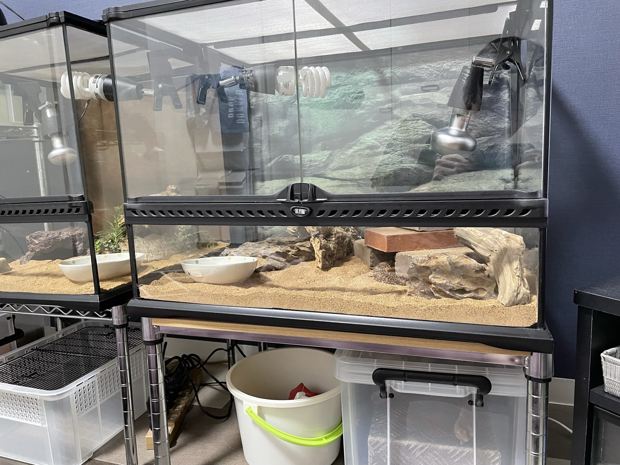 爬虫類のケージ台4選】元ショップ店員がおすすめを紹介 - レプタイル