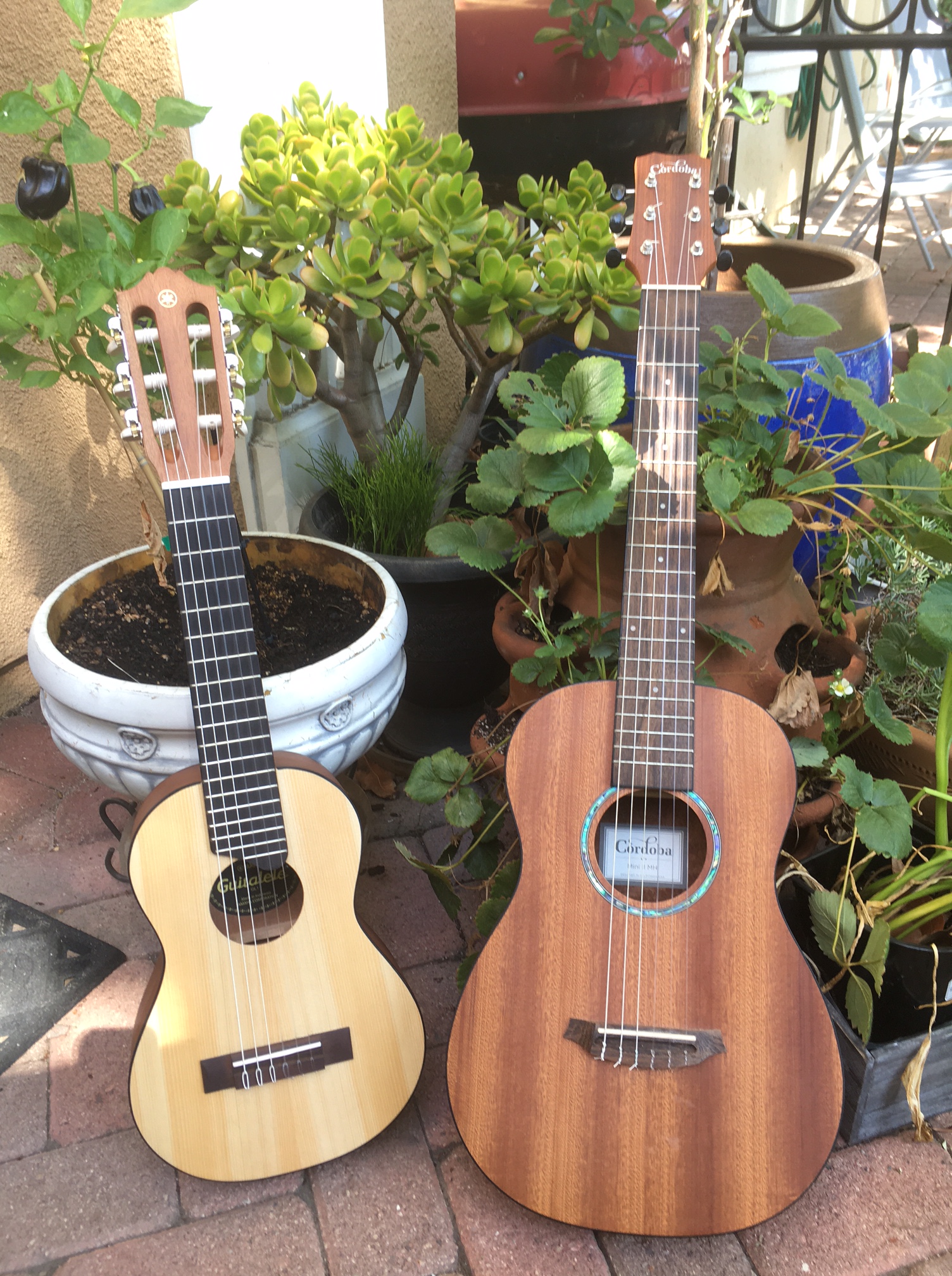 New Yamaha Guitalele | Guitarsophist