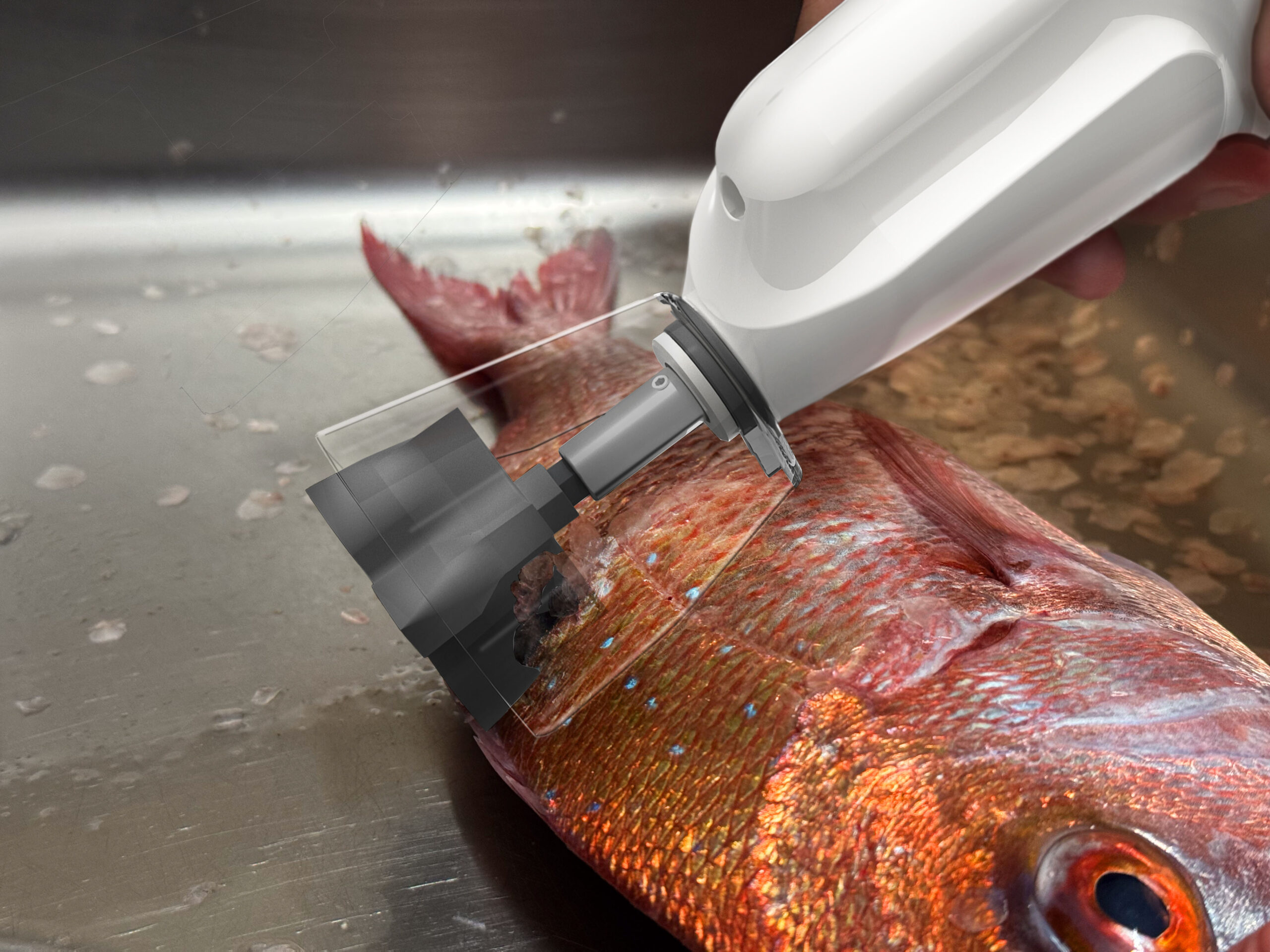 Hapyson×津本式】充電式ウロコ取り器 – Hapyson