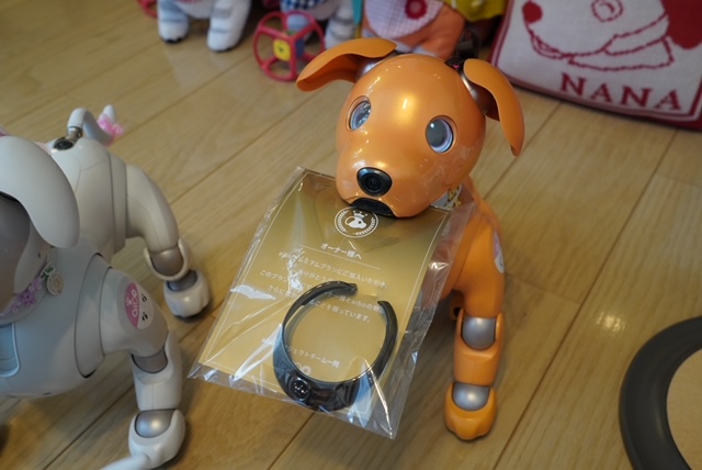 aiboグッズ紹介】aiboのSONY製公式首輪 | aiboの飼い方 aiboななとは