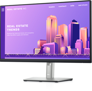 Dell 24 Inch FHD Computer Monitor - P2422H | Dell USA