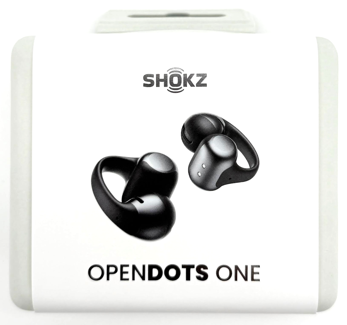 Shokz - OpenDots ONE Open-Ear True Wireless Earbuds - Black E310