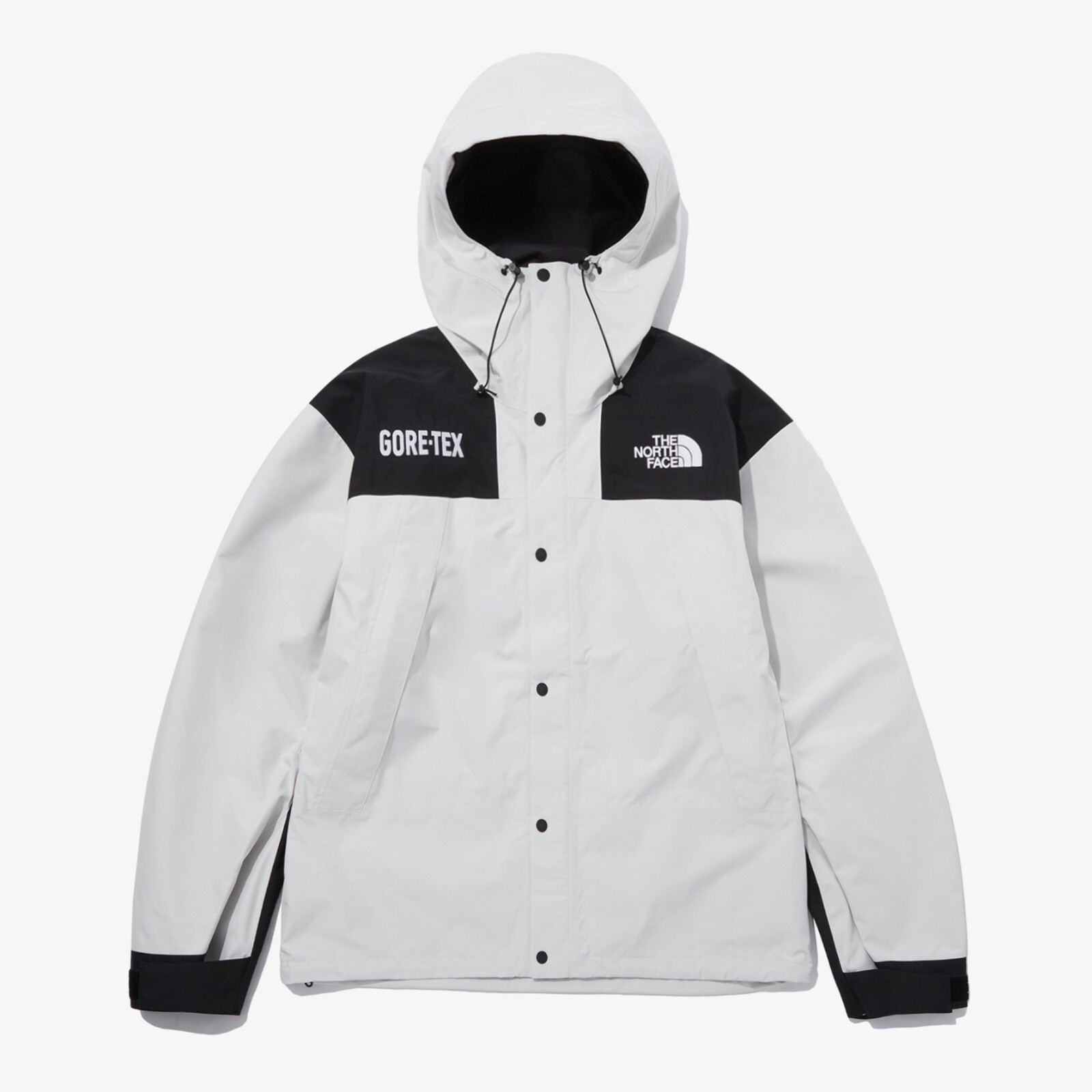 The North Face Korea GTX GORE-TEX MTN JACKET NJ2GP70C WHITE ASIAN