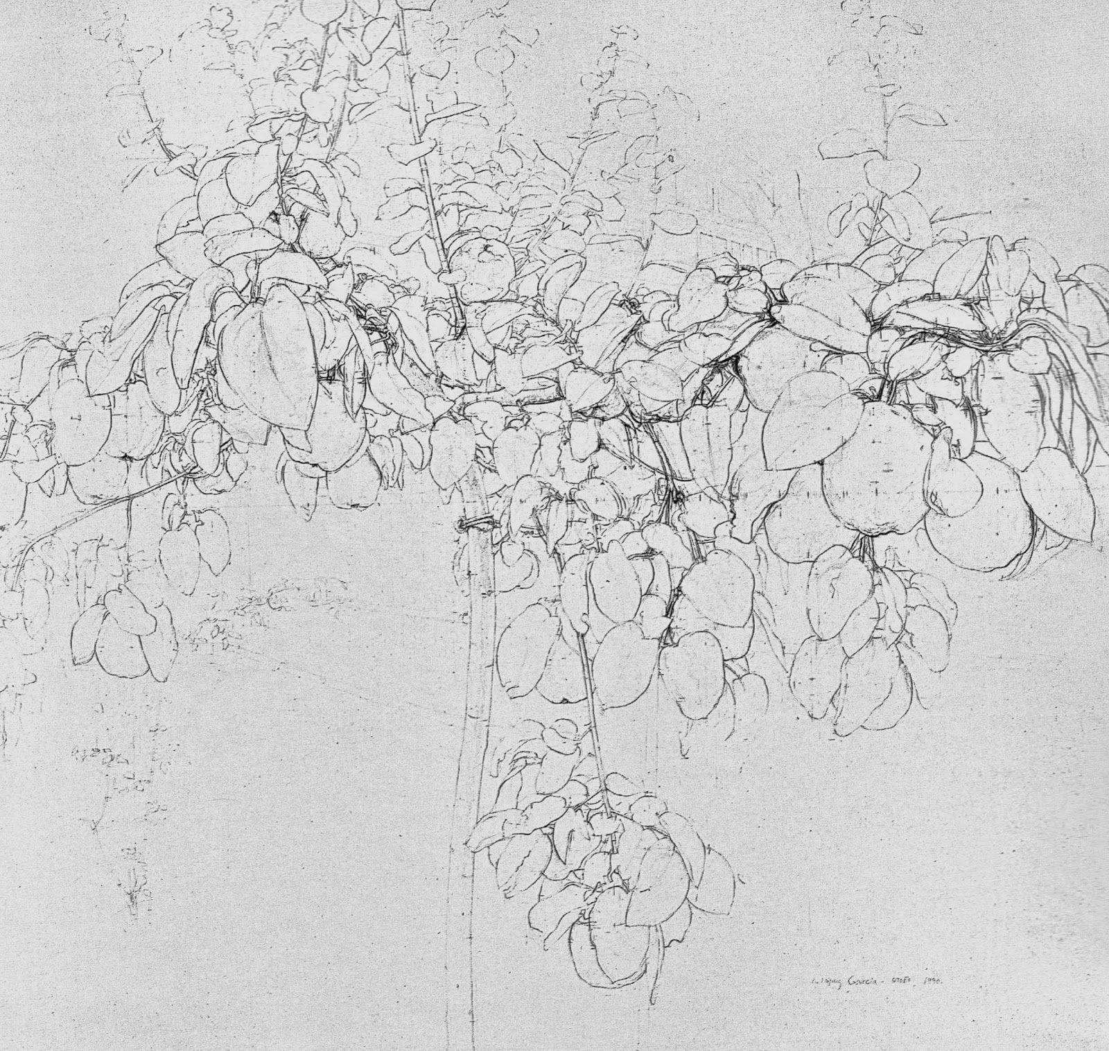 Antonio Lopes Garcia」のアイデア 22 件 | アントニオロペス, ロペス