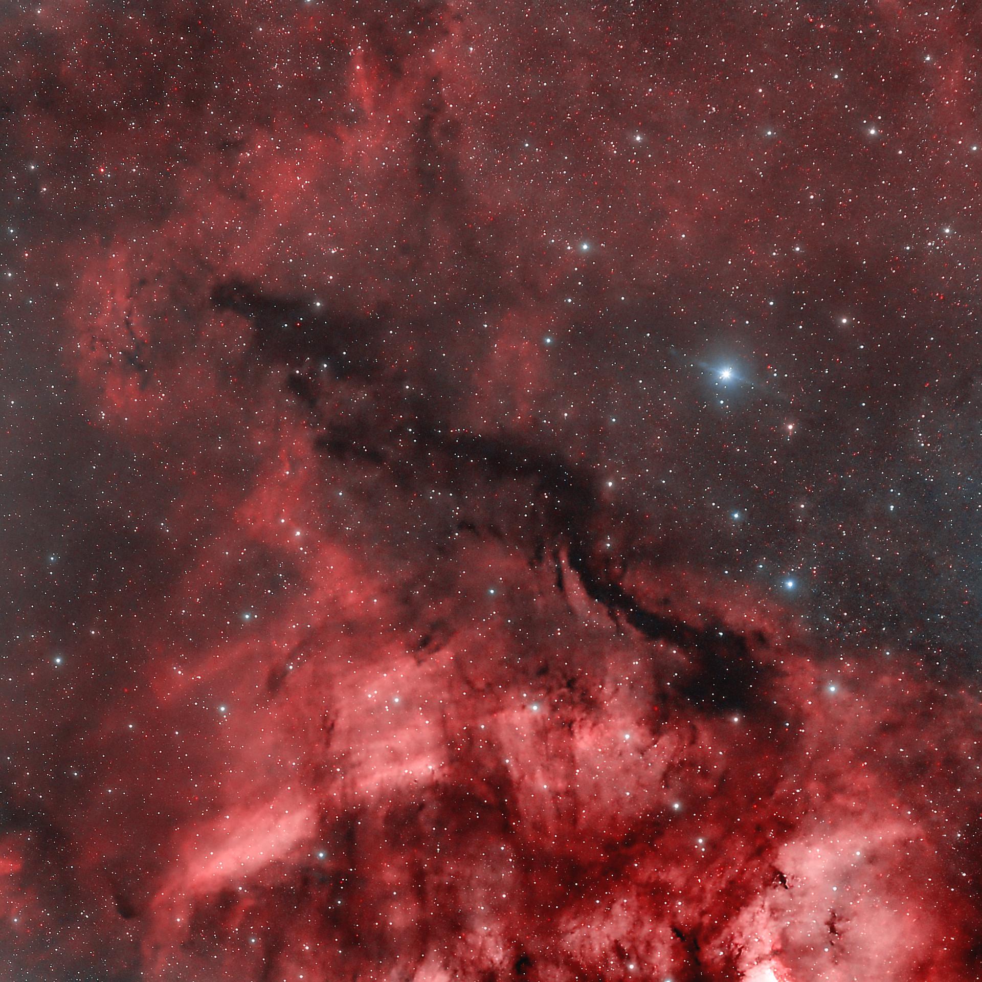 LDN 914 (暗黒星雲): 白鳥座のダークドラゴン : r/astrophotography