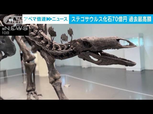 過去最高70億円！「ステゴサウルス」の化石、NYのオークションで落札