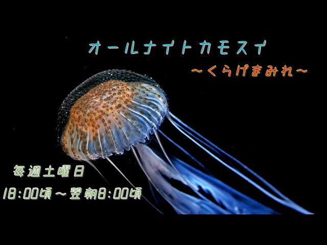 sddefault.jpg?v=6921501f