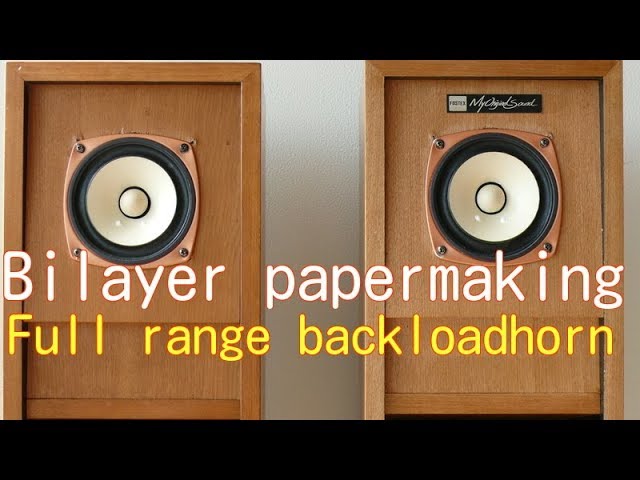 Fostex 二層抄紙 フルレンジ FE103-sol 自作バックロード 空気録音