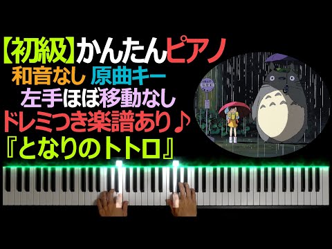 初級】『となりのトトロ』となりのトトロ エンディングテーマ