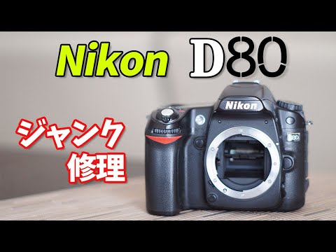 カメラ📷がんばる奮闘記🌈 - YouTube