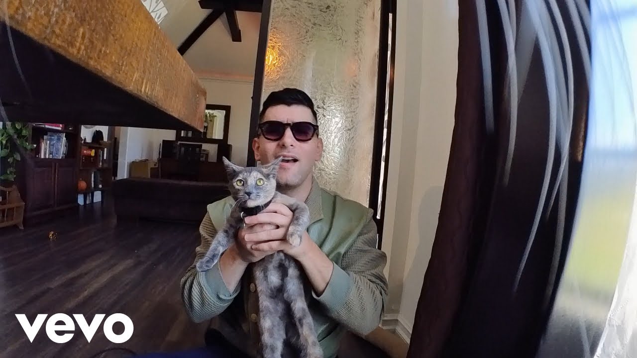 AARON FRAZER / INTO THE BLUE / LP | Record CD Online Shop JET SET