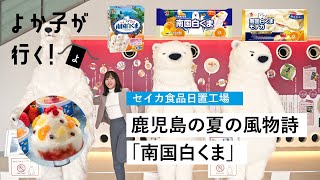 南国白くまDX詰合せセット(SDX-43) セイカ食品