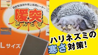 ハリネズミの寒さ対策：ケージの中を上から暖める「暖突」レビュー