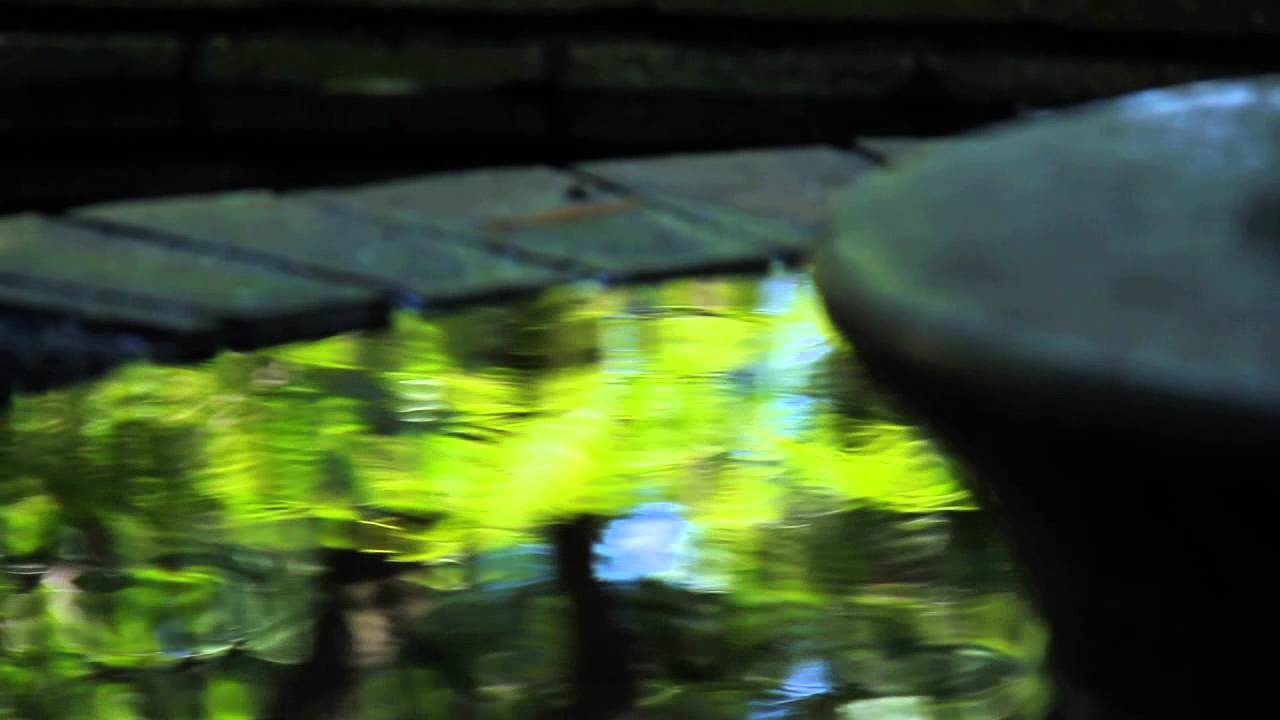 Canon EOS 7D 作例動画 - YouTube