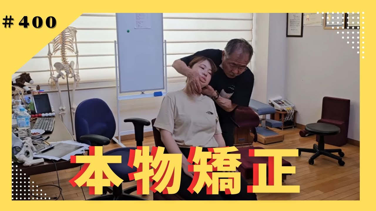 Chiropractic Technique 第三版 カイロ！整体！鍼灸！英語