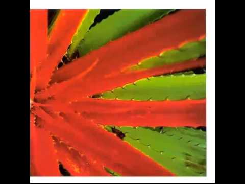 Jejune – This Afternoons Malady – CD (Album), 1998 [r877000] | Discogs