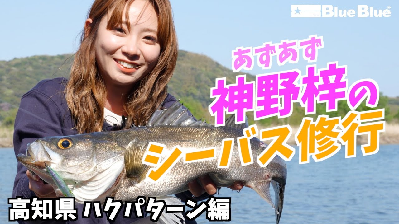 バルバル99を徹底インプレ（シーバス・サーフゲームで大活躍です）うお