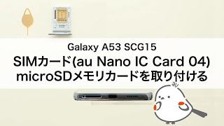 Galaxy A53 5G SCG15】SIMカード(au Nano IC Card 04)・microSDメモリ