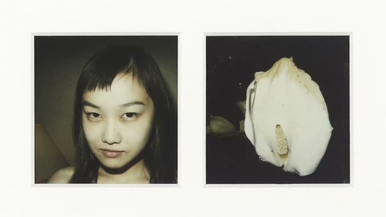 POLARAKI - Thousand polaroids by Araki Nobuyoshi | Musée Guimet
