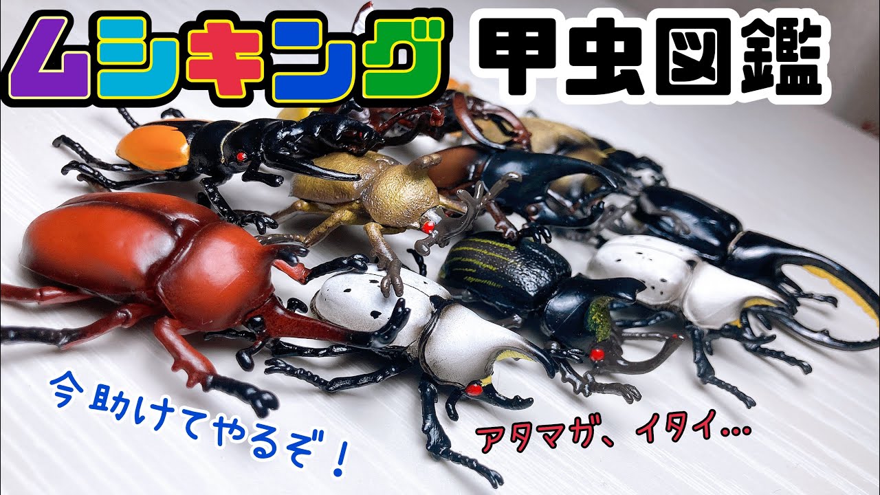 Mushiking] The nostalgic beetle encyclopedia figure was the best