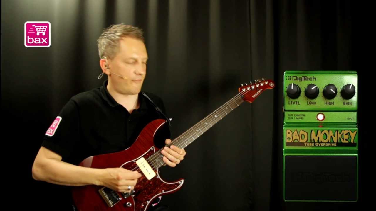 Digitech Bad Monkey - ギターとか音楽のあれこれ