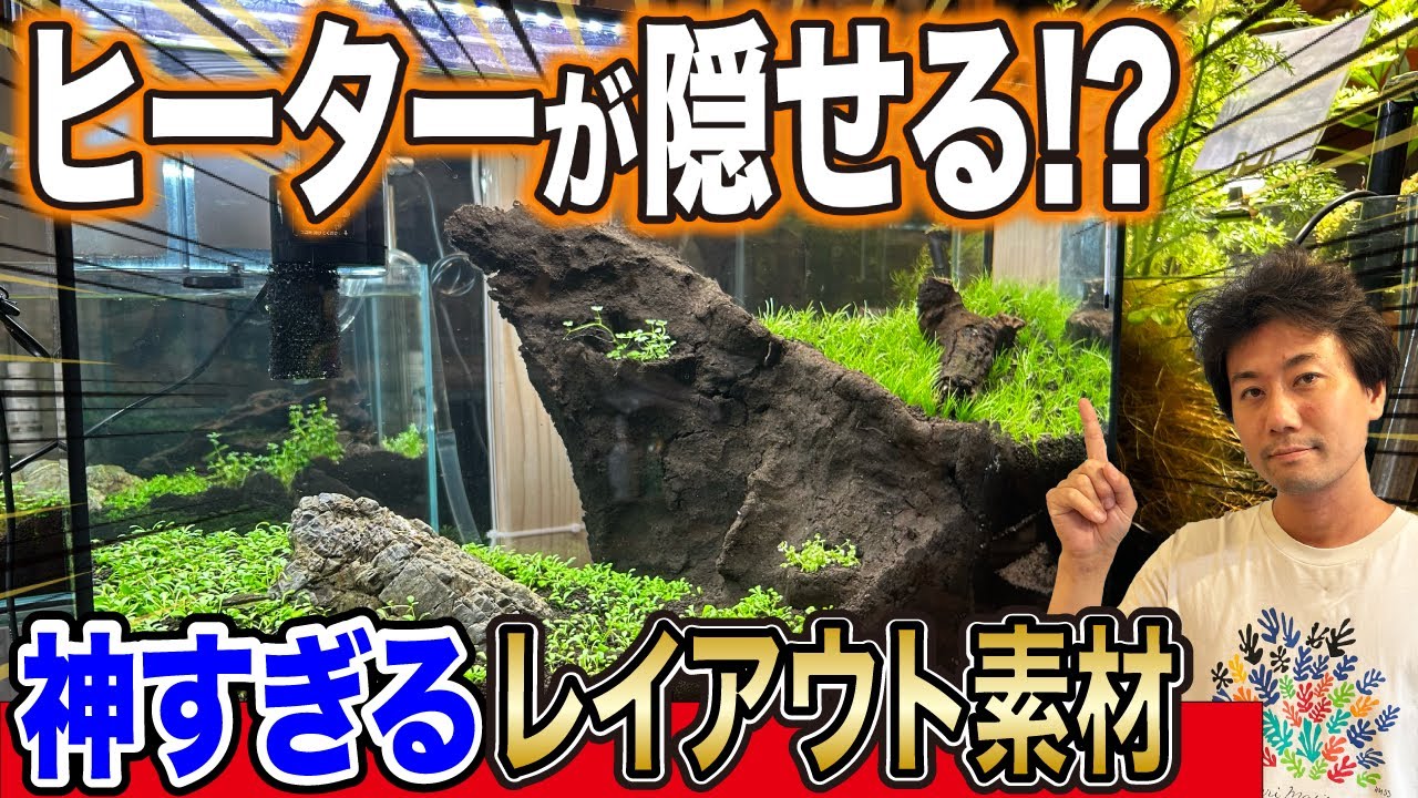 Aquarium layout tips] Introducing the 