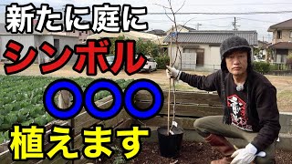 Finally planting it] This is the rumored symbol XXX [Gardening