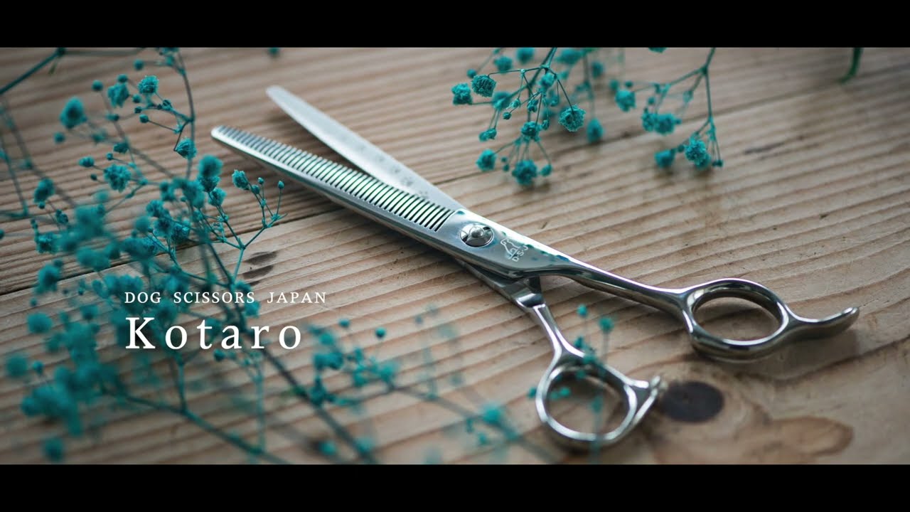 ドッグ シザーズ ジャパン マロン(Marron)セニング（Thinning） DIV