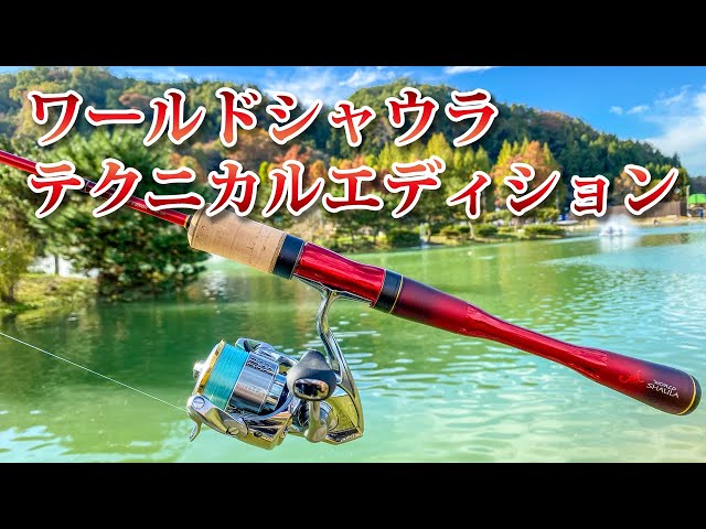 ワールドシャウラ テクニカルエディション S66UL-2/F』をレビュー