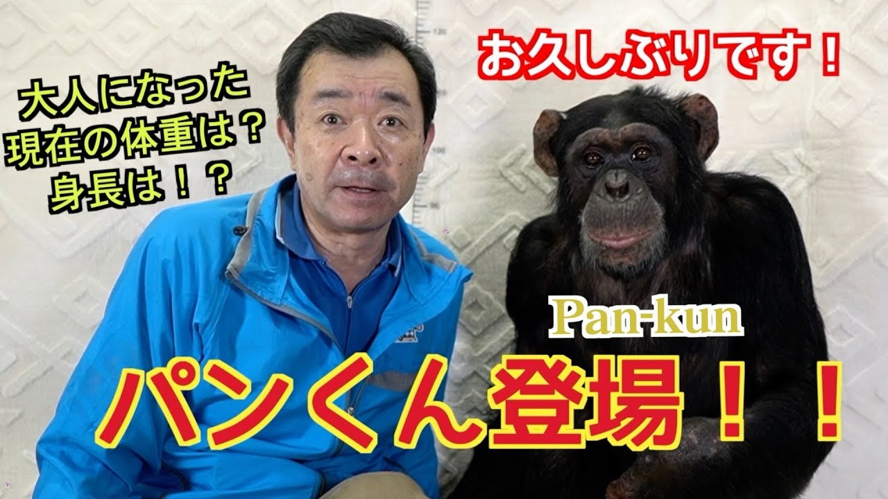 When the zoo's president gave Pan-kun a hot drink in the middle of