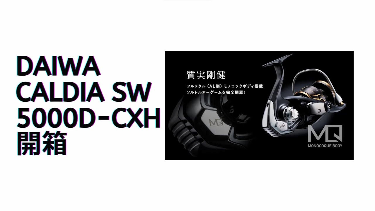 Daiwa Caldia SW 5000D-CXH開箱 - YouTube