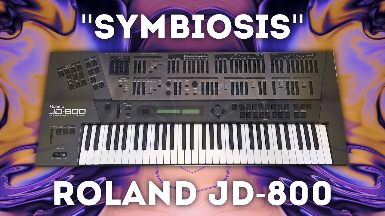 Roland JD-800 - Custom Sounds for 31 Anniversary! - YouTube