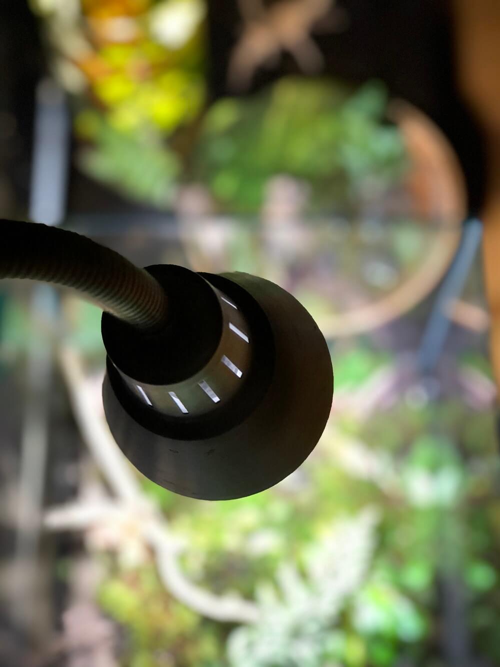 2019-02-22-22.17.47.jpg?fit=