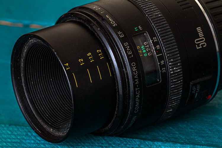 Writer's Favorite Lens - Canon 50mm f/2.5 Compact Macro