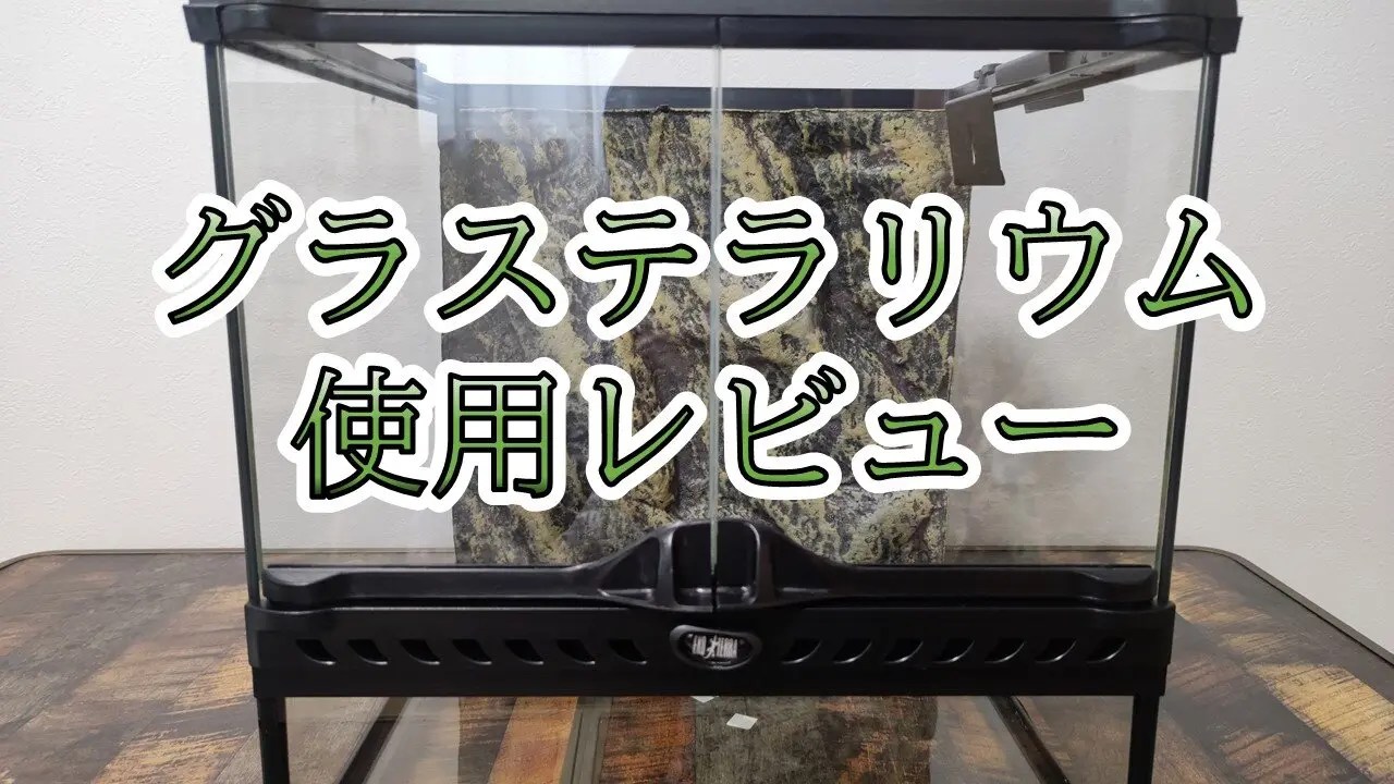 グラステラリウム使用レビュー【GEXEXOTERRA】 | カナヘビとかぼう