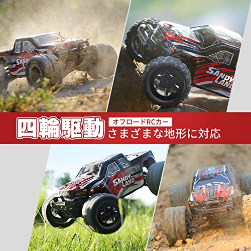 DEERC ラジコン ラジコンカー 電動RCカー オフロード 4WD 高速 40km/h