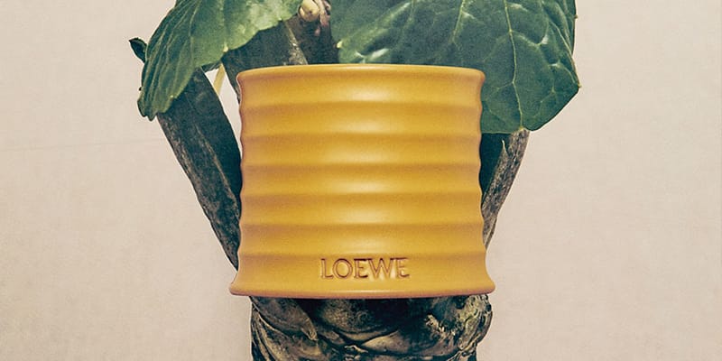 Loewe Launches Wasabi Home Scent | Hypebae