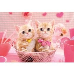 ヨドバシ.com - エポック社 EPOCH 25-164 ねこ ももいろにゃんこ