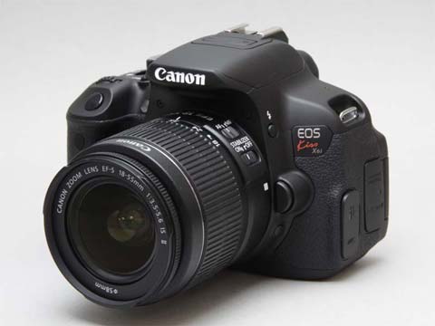 EOS Kiss X6i」をEOS Kiss X5と並べて写真で見る - ITmedia NEWS