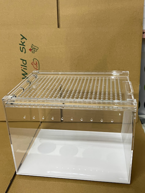 レプタイルボックス ハーフ | ワイルドスカイ通販