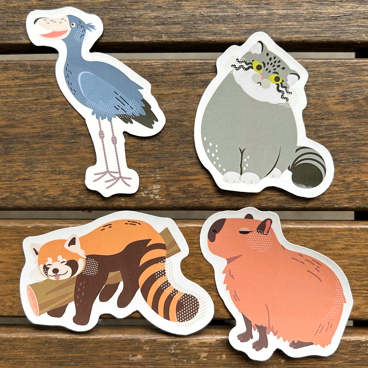 ダイカットステッカー アニマルカラー「カピバラ」 | 神戸どうぶつ王国NS