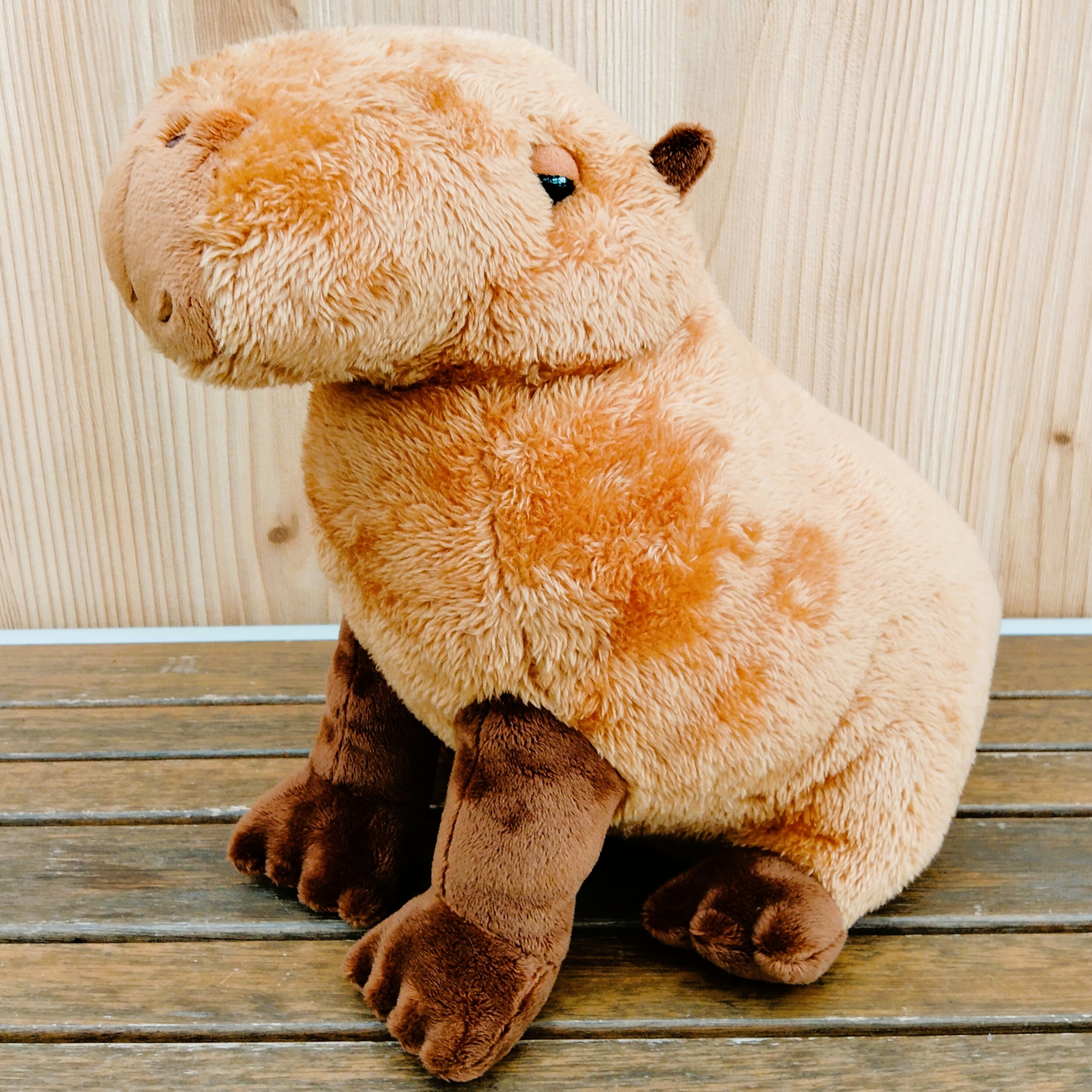 Originalぬいぐるみ 大きなカピバラ | 神戸どうぶつ王国NS