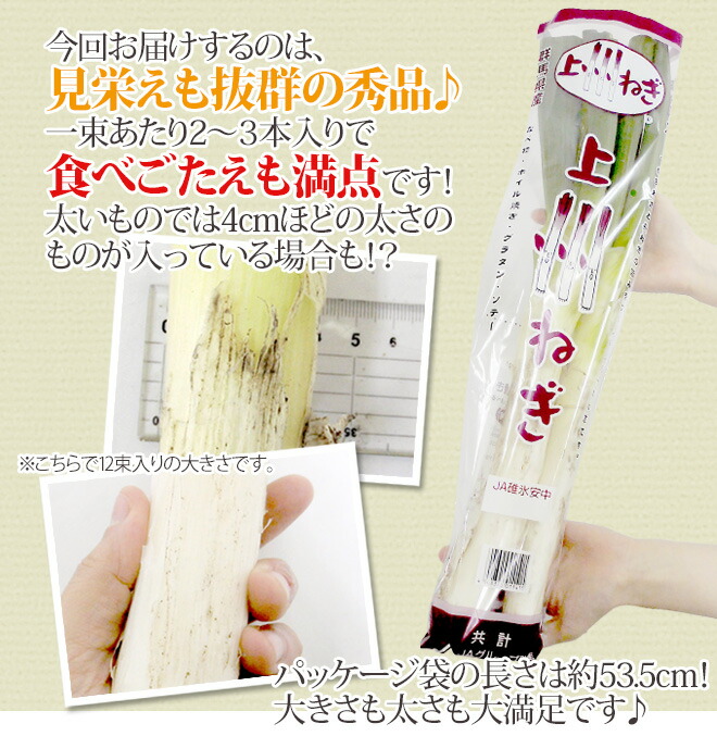 群馬県 ”上州ねぎ” 12束前後 約5kg【予約 11月末以降】｜くらし快援隊