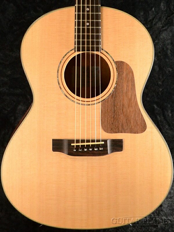 楽天市場】K.Yairi RF-K13-SAP 新品[Kヤイリ][国産][Natura,ナチュラル