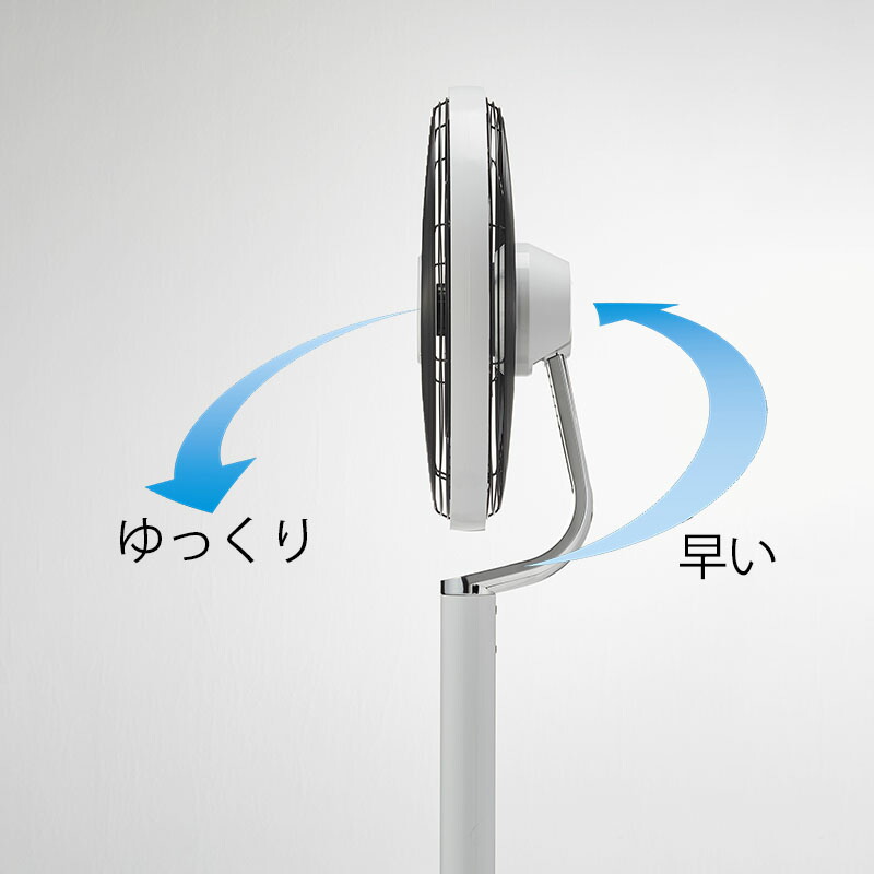 楽天市場】MAINTS マインツ PIROUETTE white ピルエット (ホワイト