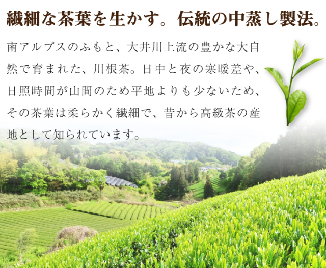 送料無料 新芽の香100g×4袋セット / No140