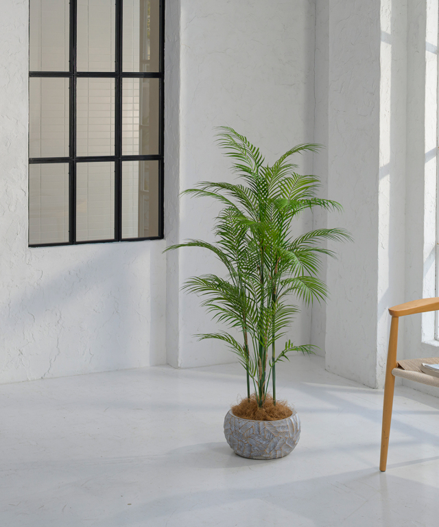 TUTTJ38400_10.jpg?t=20250319112747